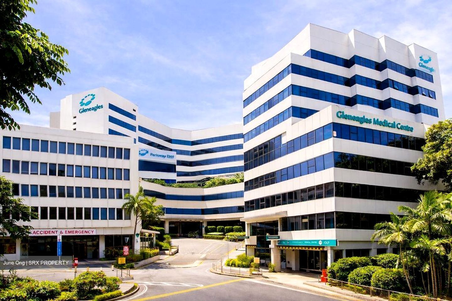 Gleneagles Hospital (D10), Retail #570039381